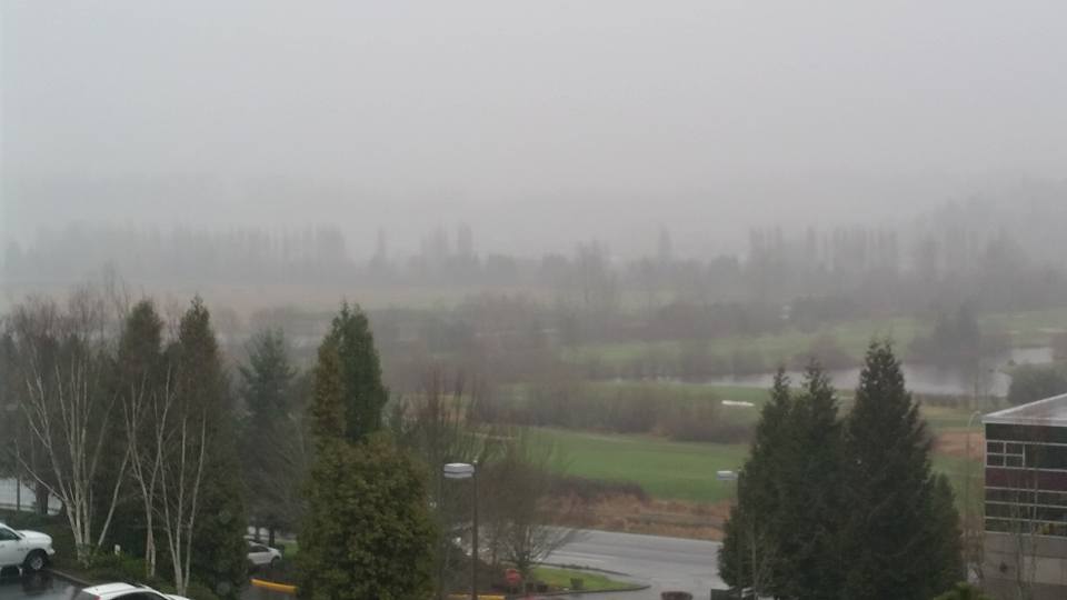 Willows Road valley