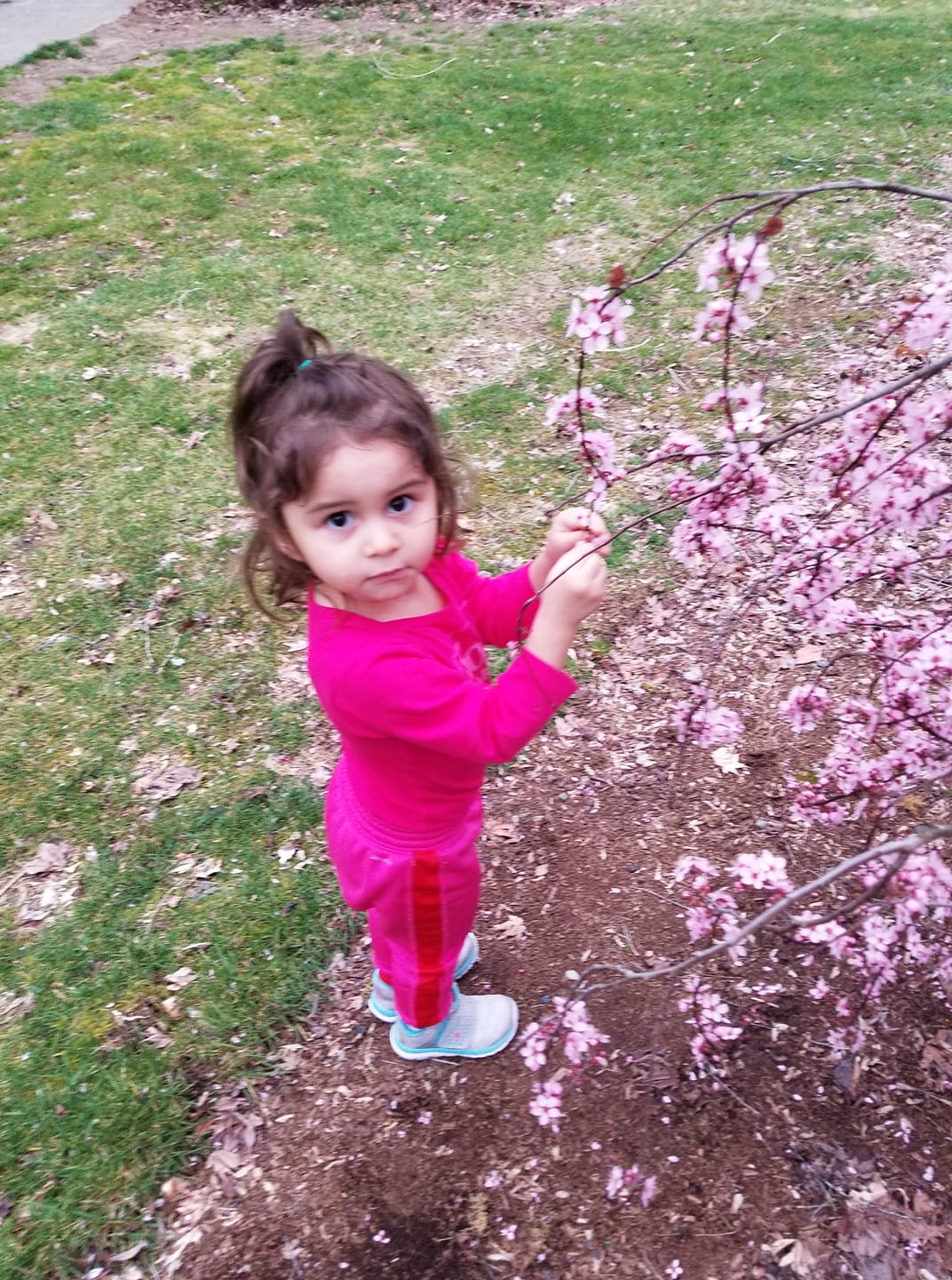 Too much pink